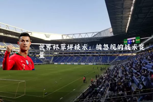 世界杯草坪技术:被忽视的战术变量